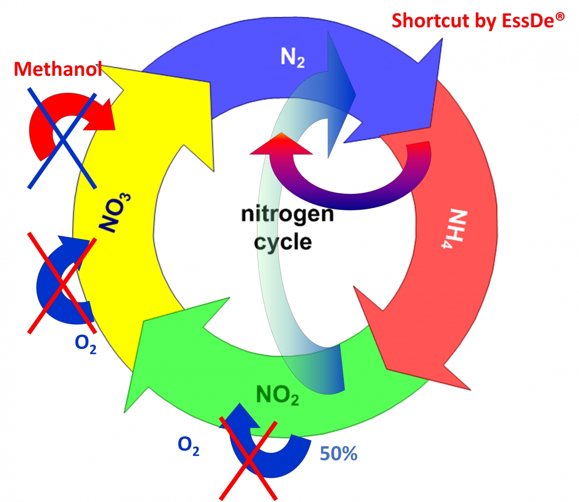 Deammonification Process For Nitrogen Removal | EssDe GmbH | EssDe ...